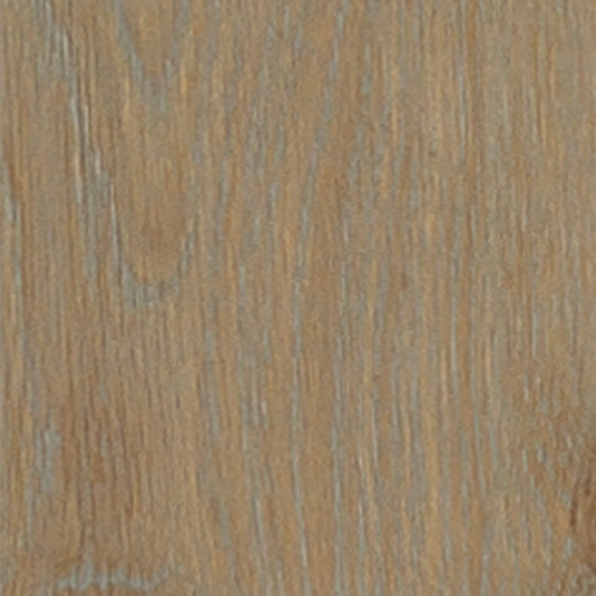 Image de catégorie - 