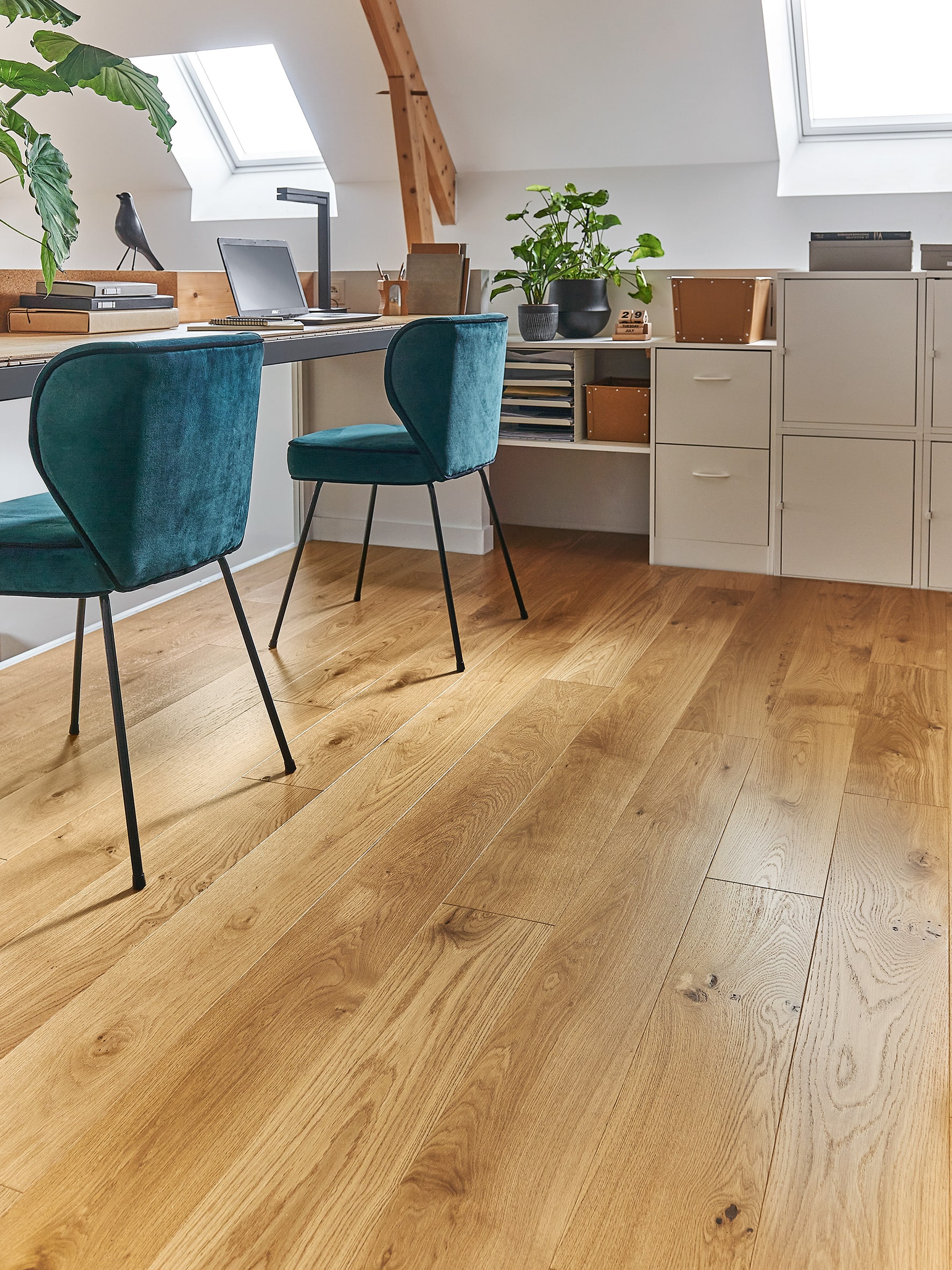 Photo d'ambiance secondaire -