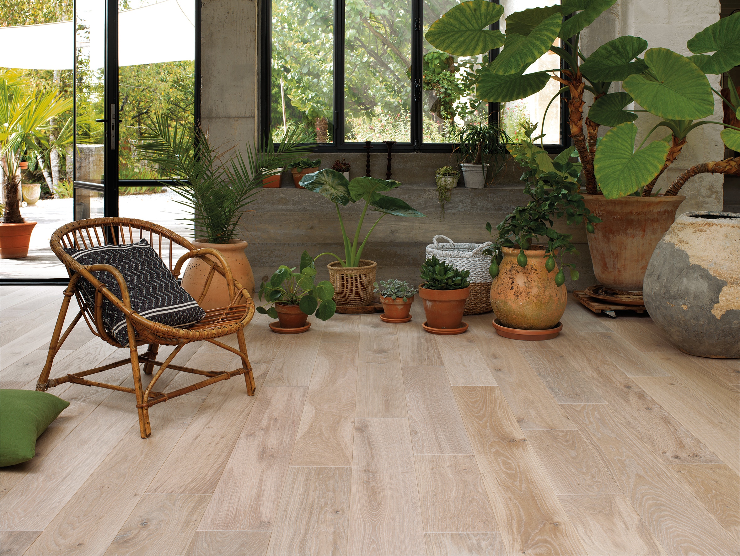 Photo d'ambiance secondaire -