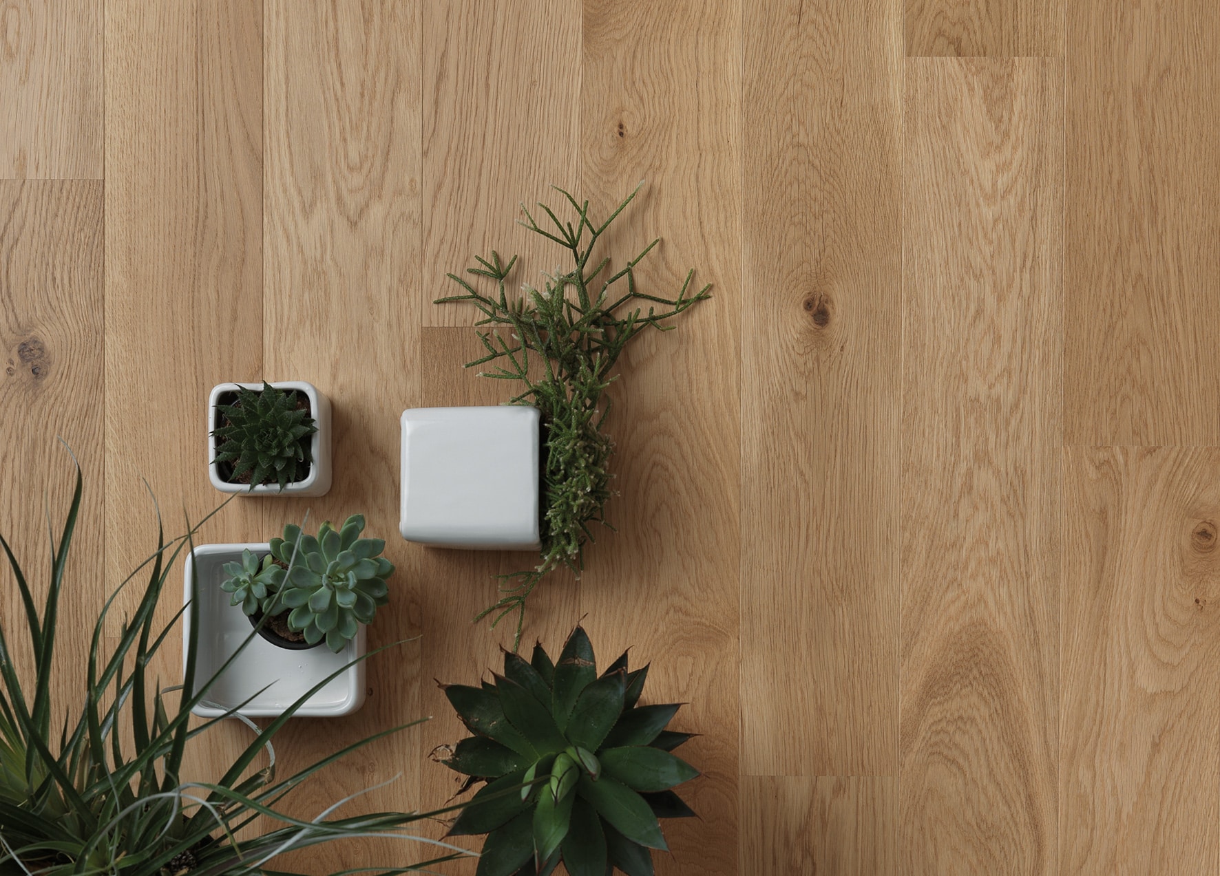 Photo d'ambiance recadrée -